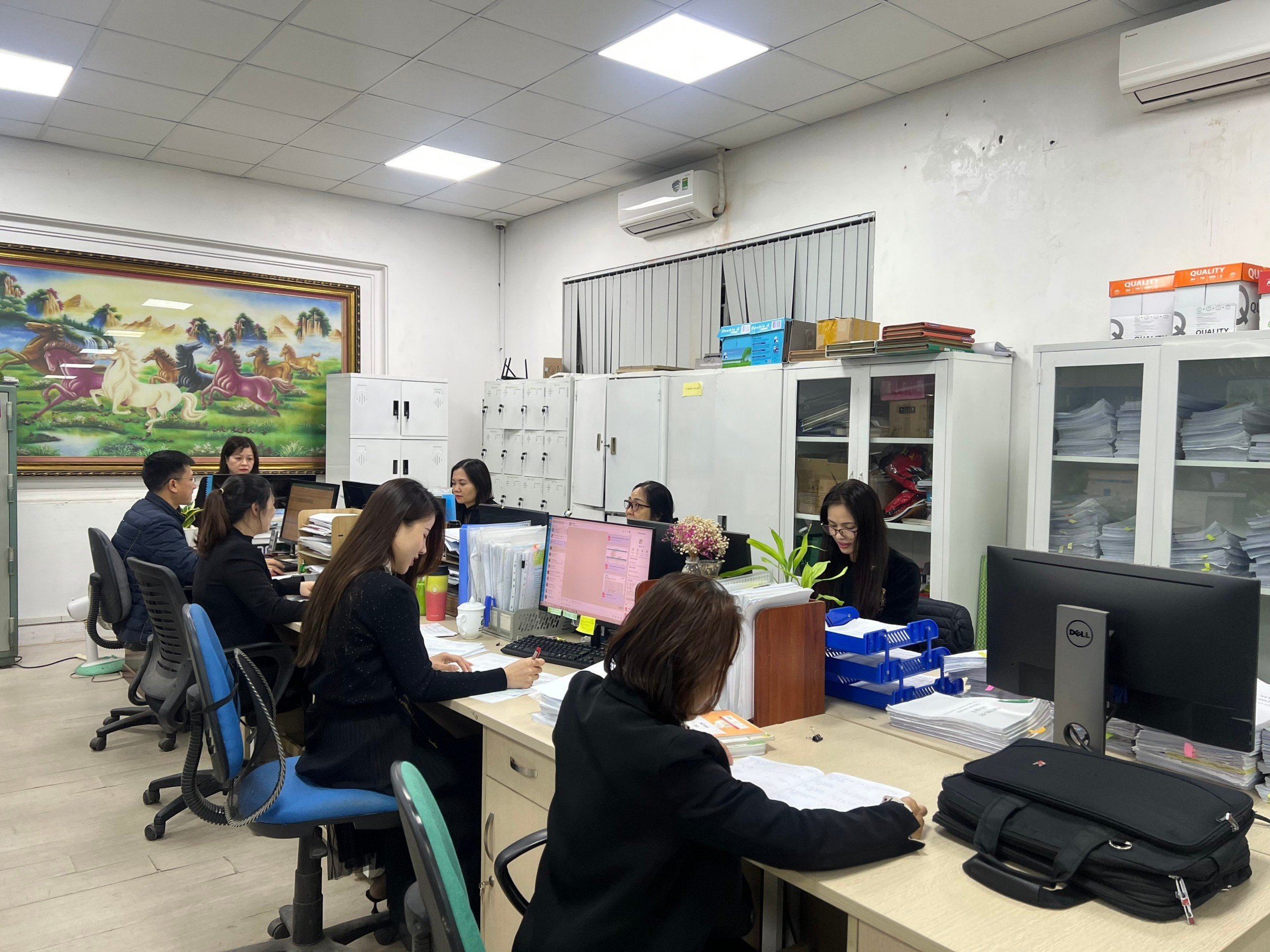 lĩnh vực hoạt động