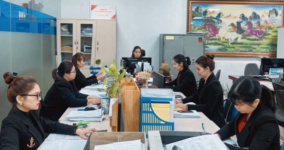 lĩnh vực hoạt động