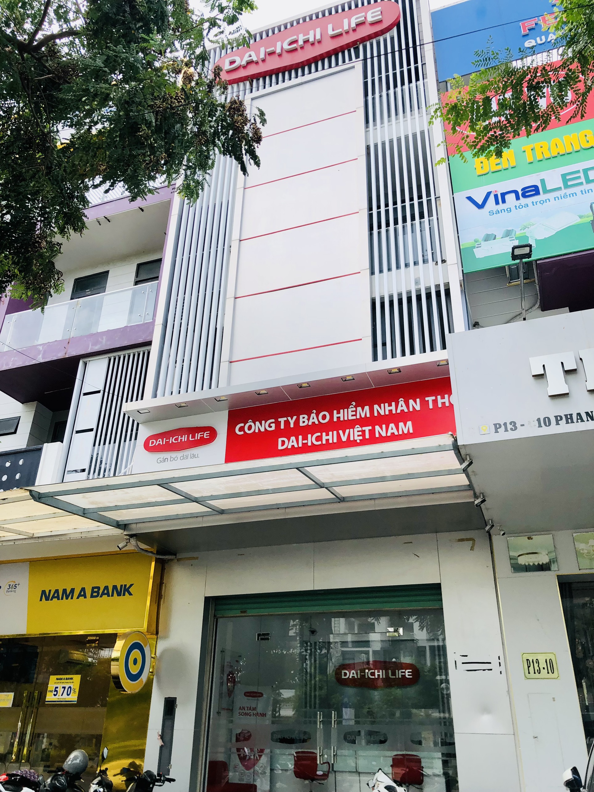 lĩnh vực hoạt động
