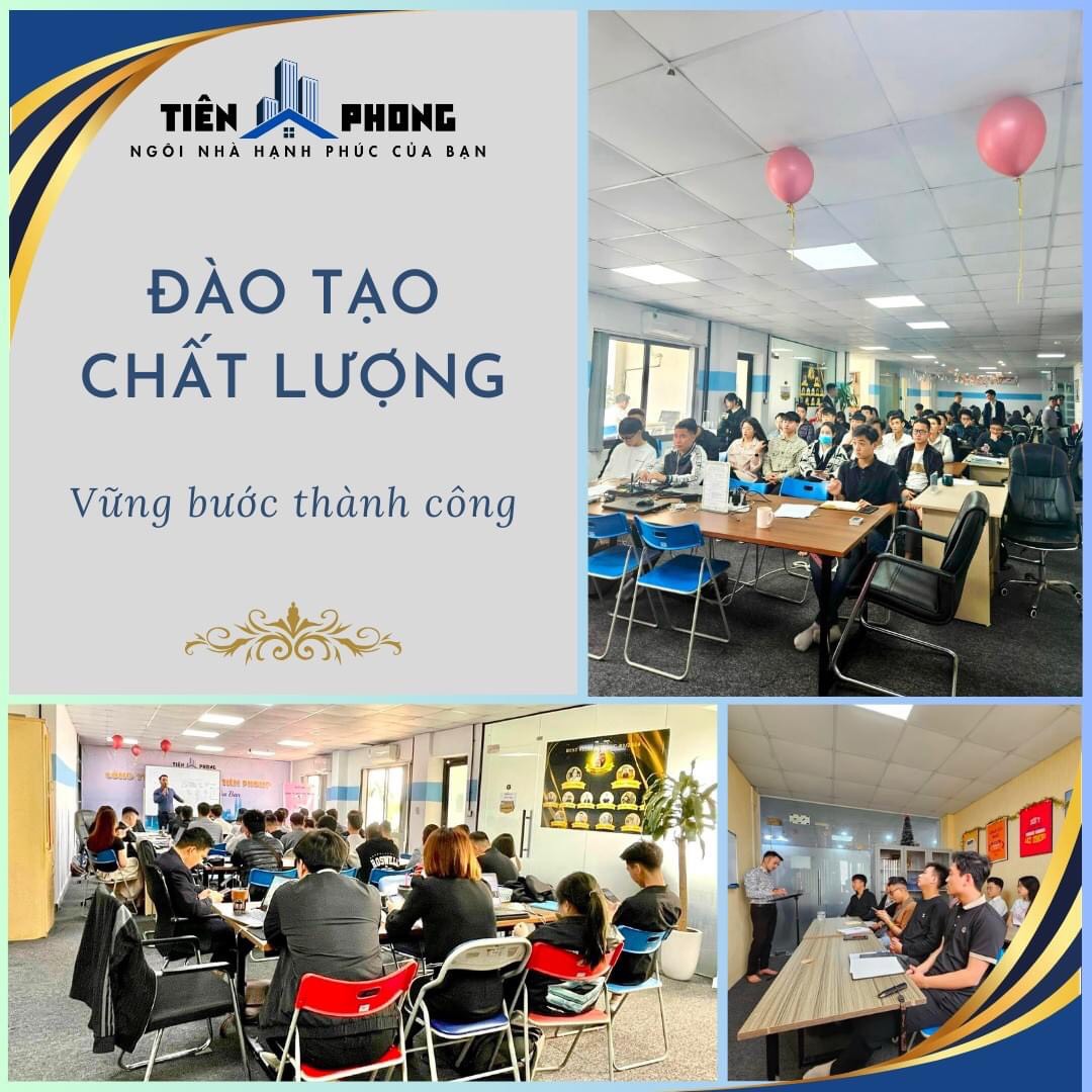 lĩnh vực hoạt động