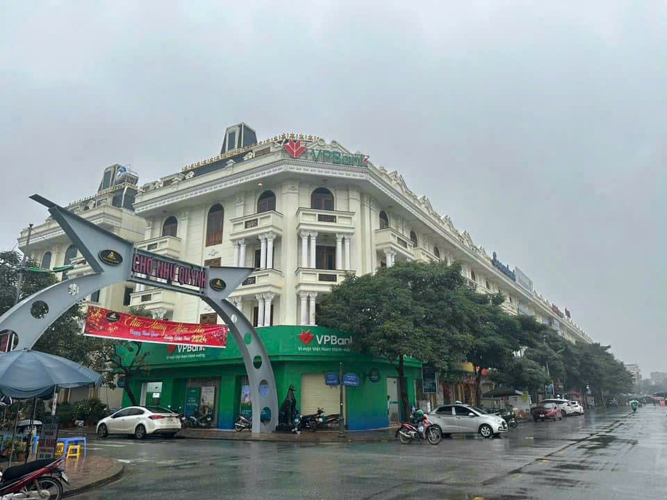 lĩnh vực hoạt động