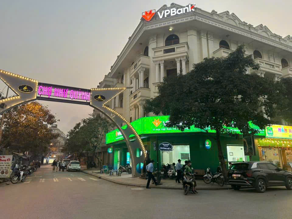 lĩnh vực hoạt động