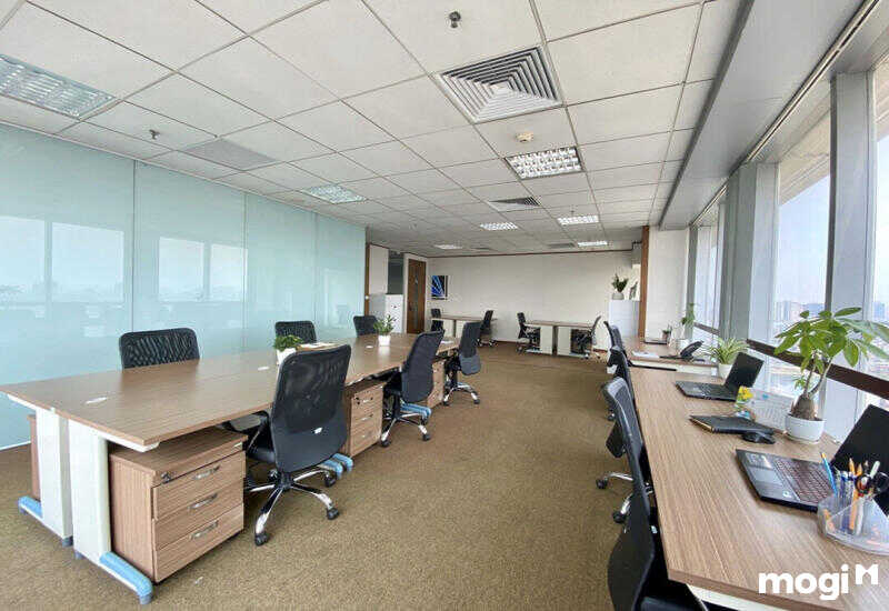 lĩnh vực hoạt động