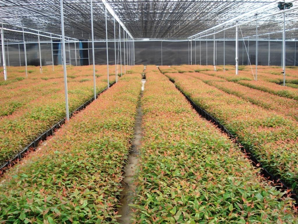 lĩnh vực hoạt động