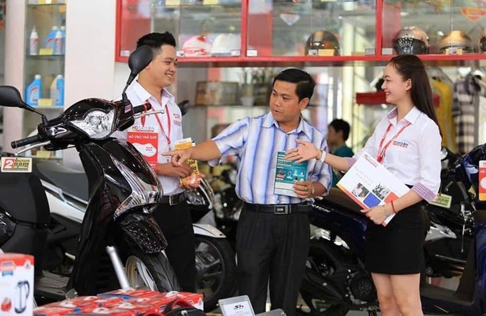 lĩnh vực hoạt động
