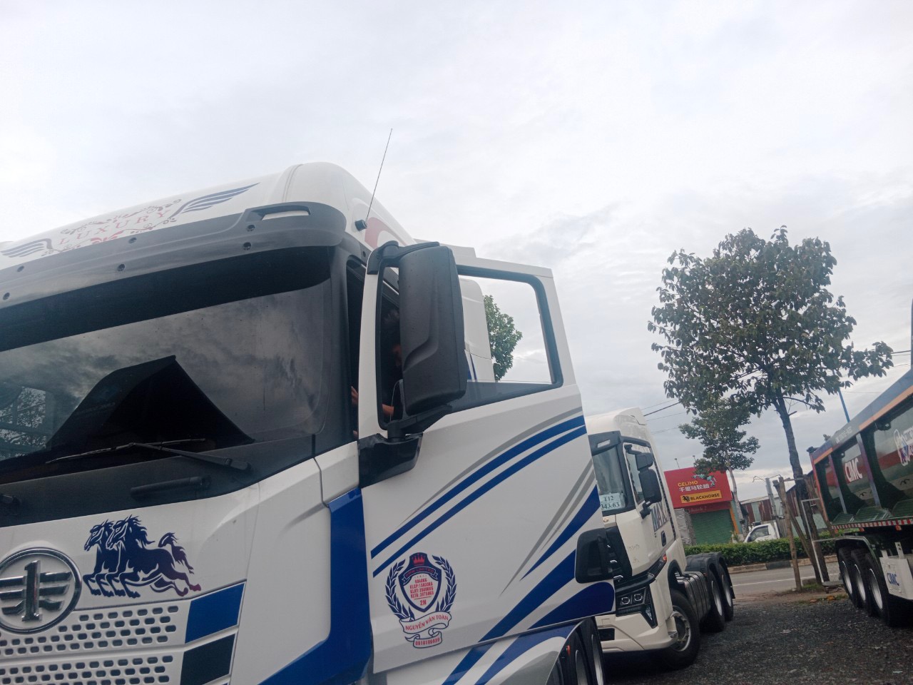 lĩnh vực hoạt động