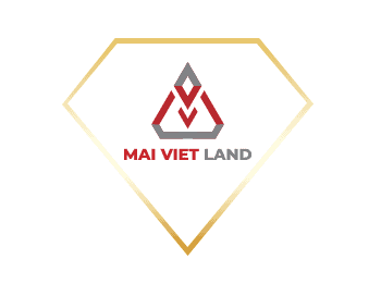 lĩnh vực hoạt động