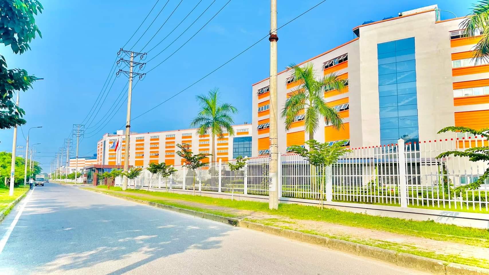 lĩnh vực hoạt động