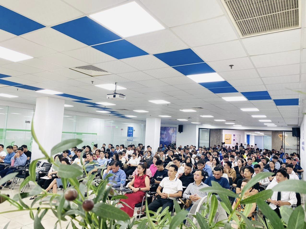 lĩnh vực hoạt động