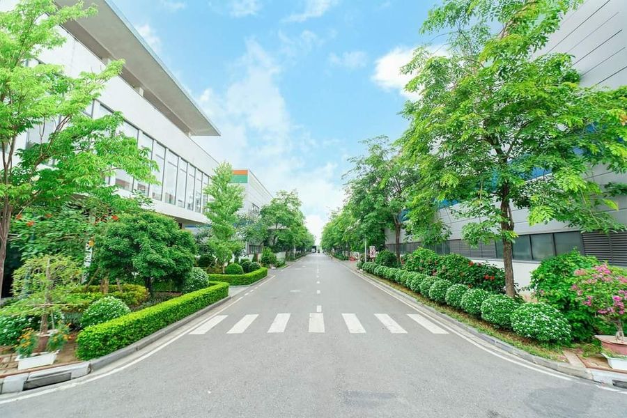 lĩnh vực hoạt động
