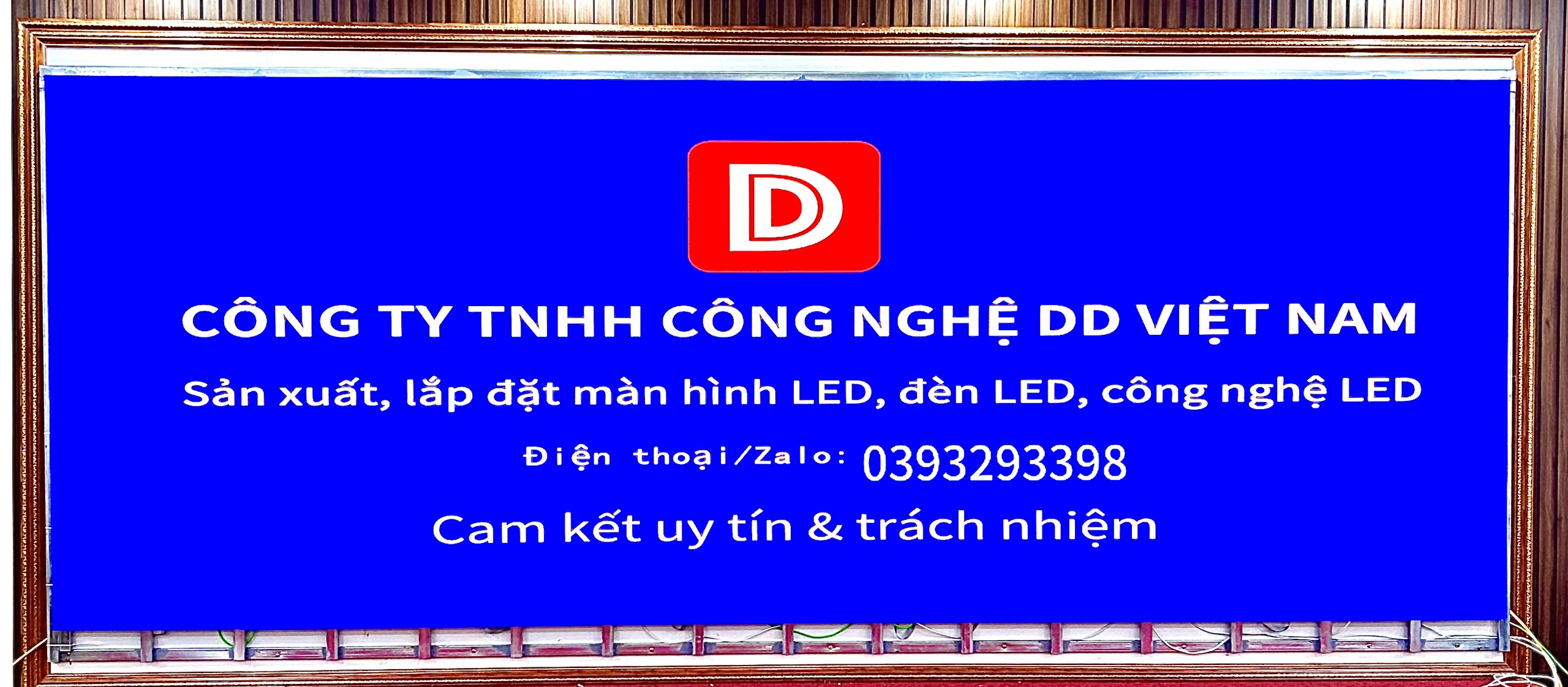 lĩnh vực hoạt động