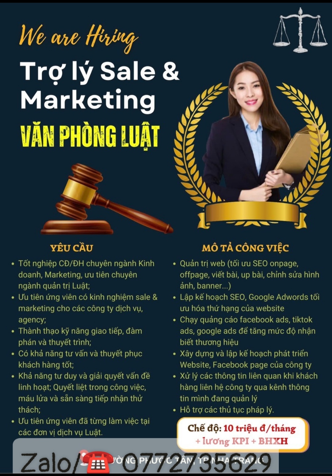 lĩnh vực hoạt động