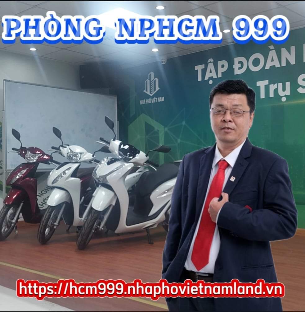 lĩnh vực hoạt động