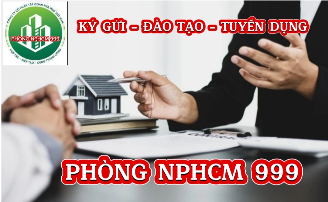 lĩnh vực hoạt động