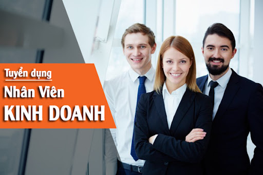 lĩnh vực hoạt động