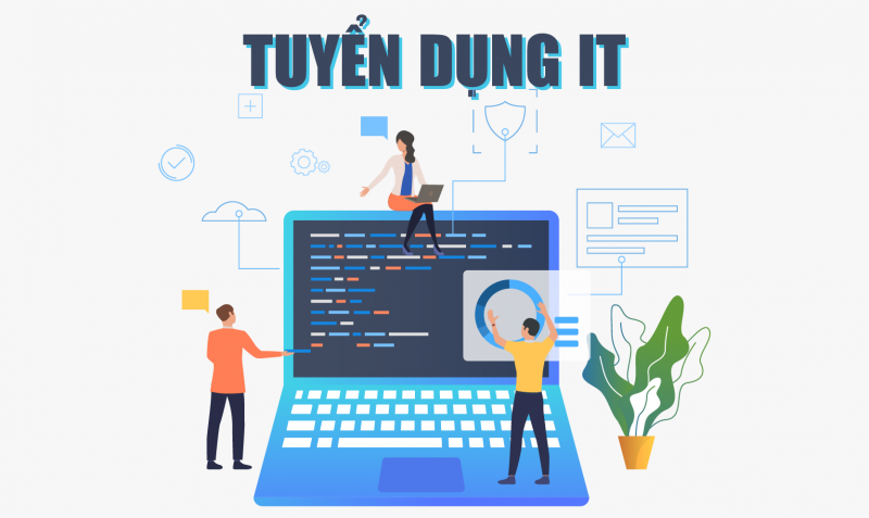 lĩnh vực hoạt động