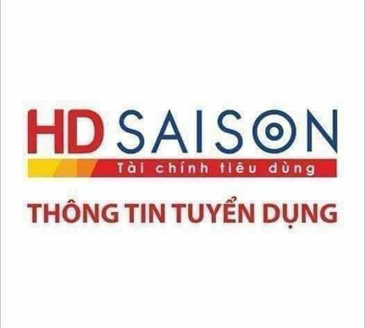 lĩnh vực hoạt động
