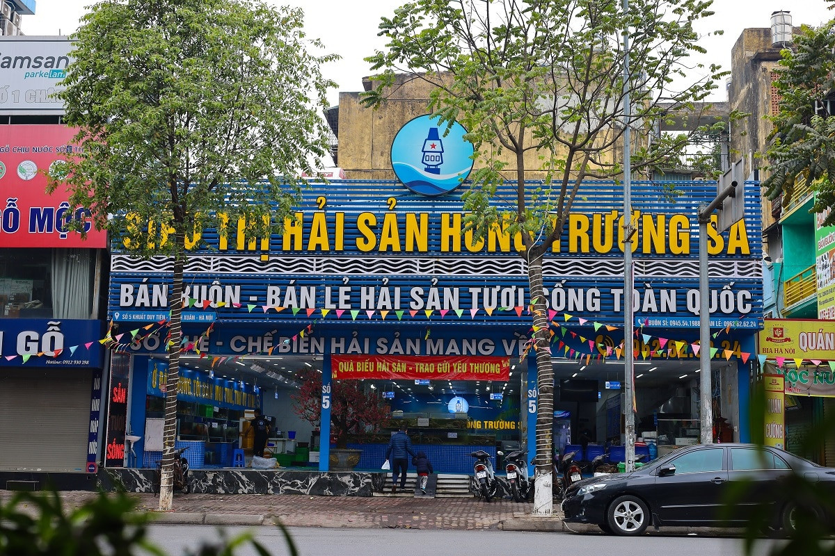 lĩnh vực hoạt động