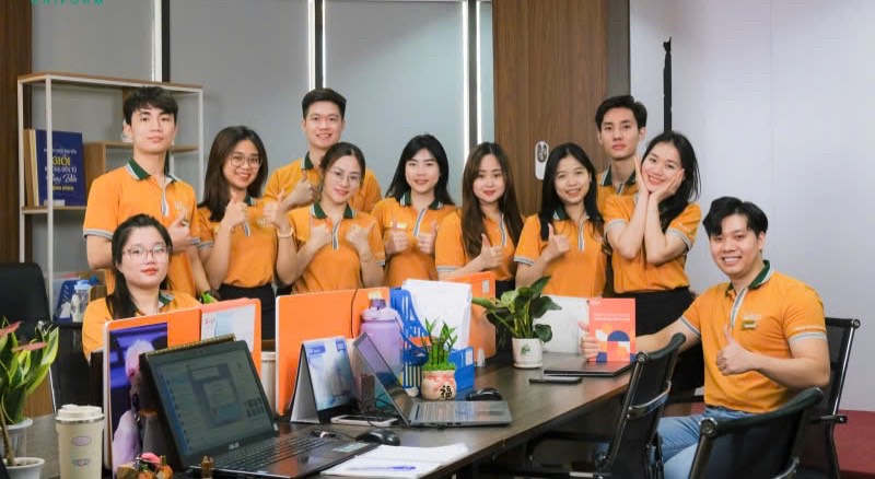 lĩnh vực hoạt động