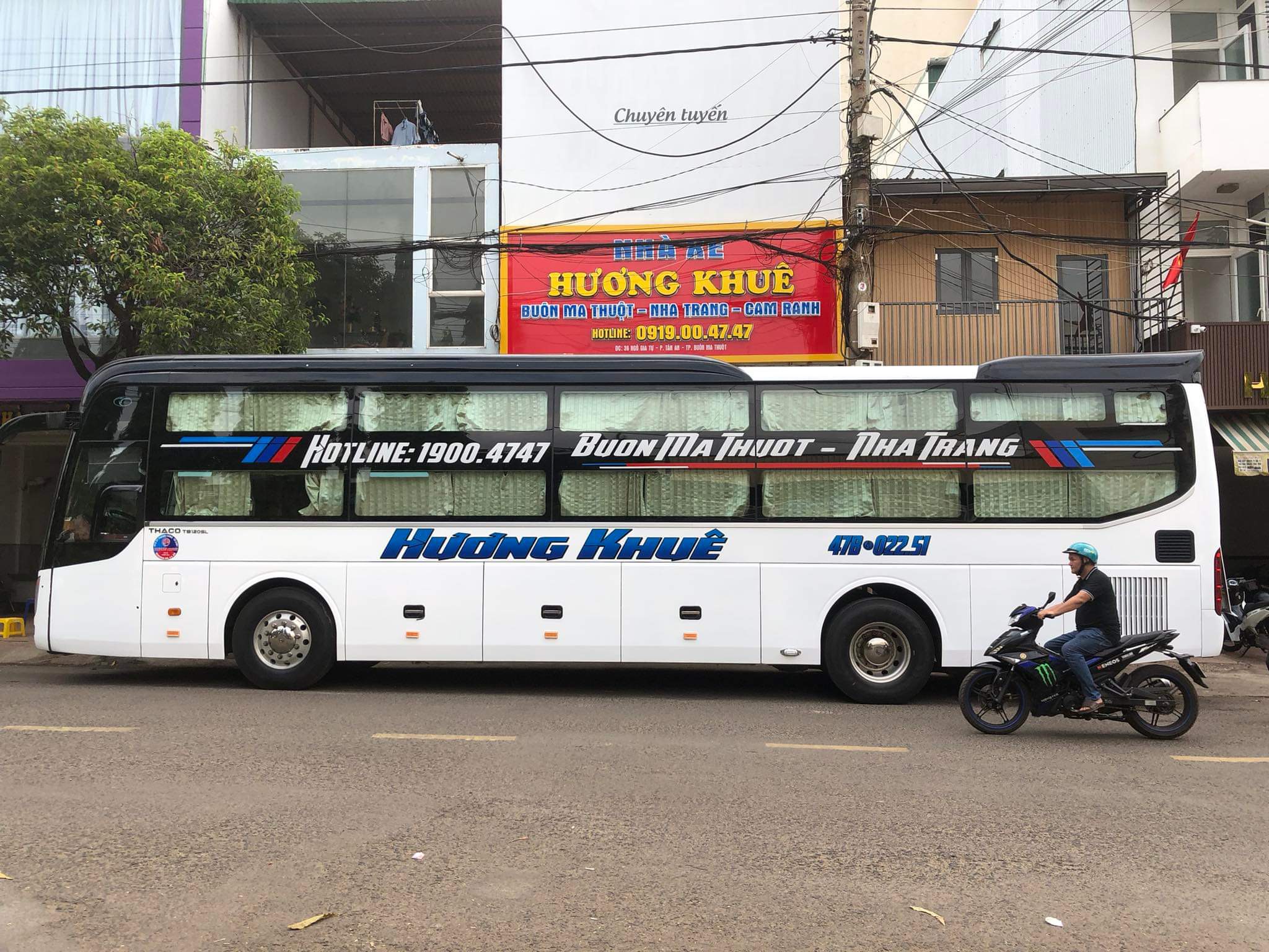 lĩnh vực hoạt động