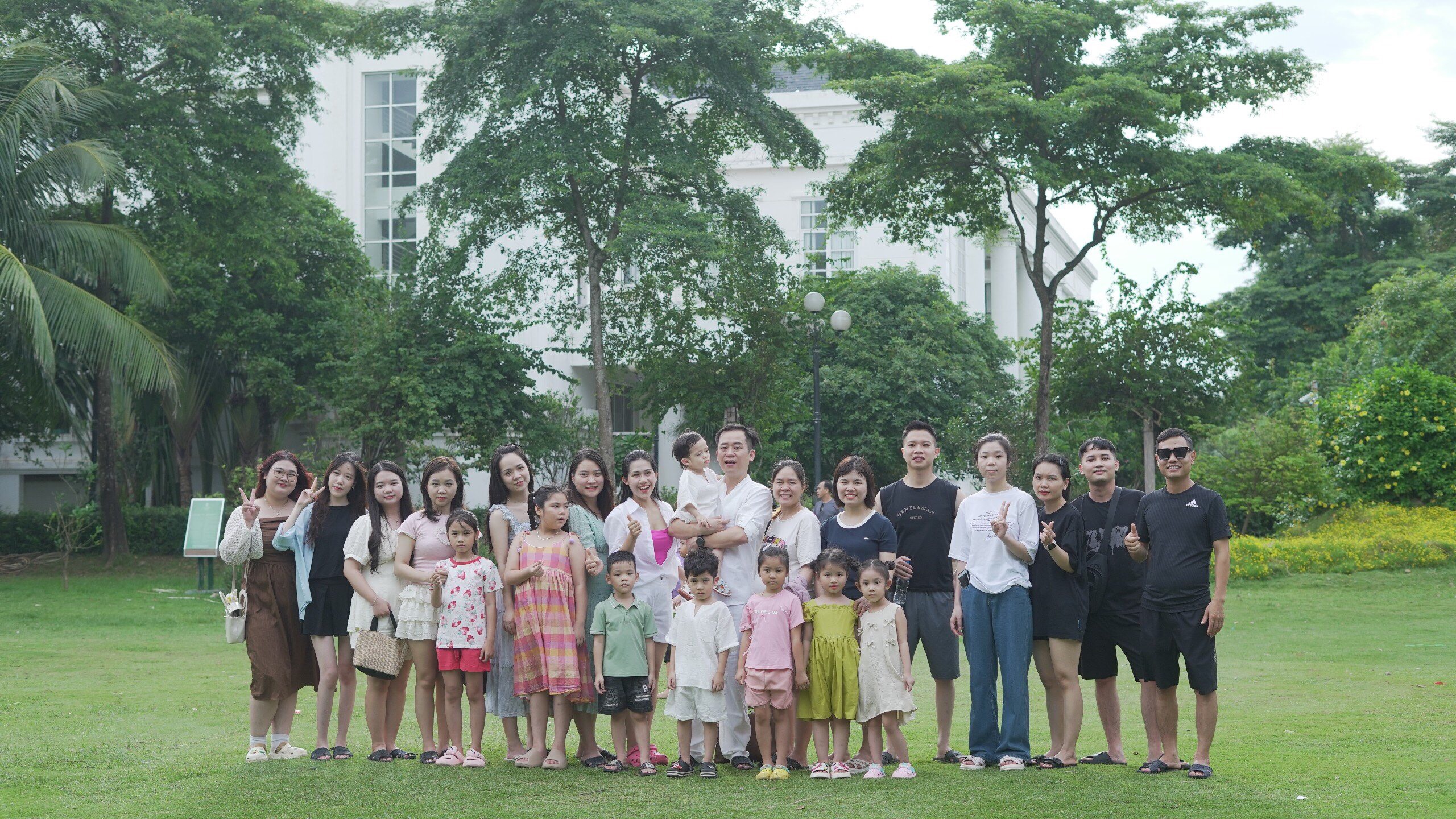 lĩnh vực hoạt động