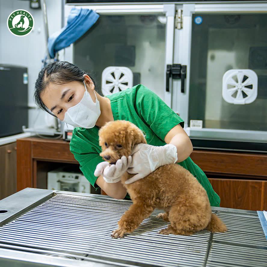 lĩnh vực hoạt động