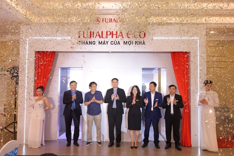 lĩnh vực hoạt động