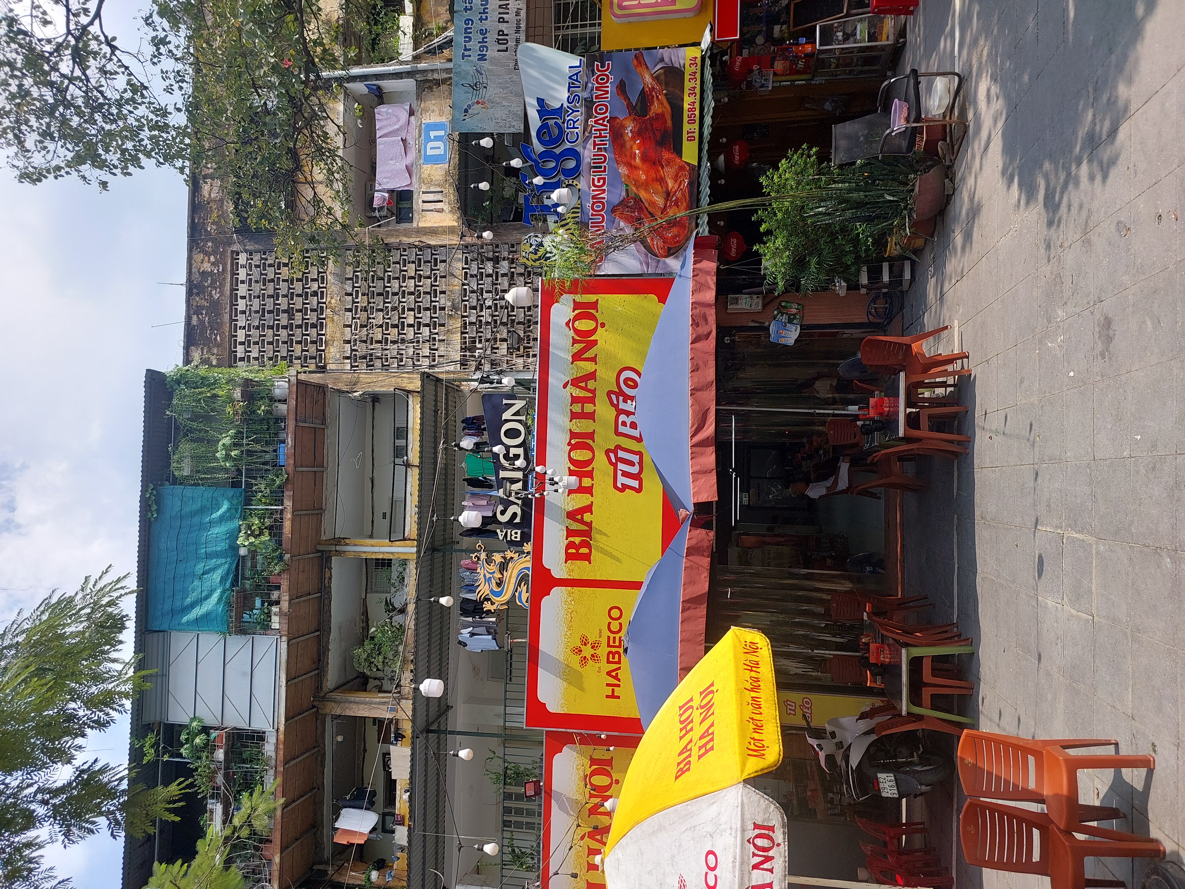 lĩnh vực hoạt động