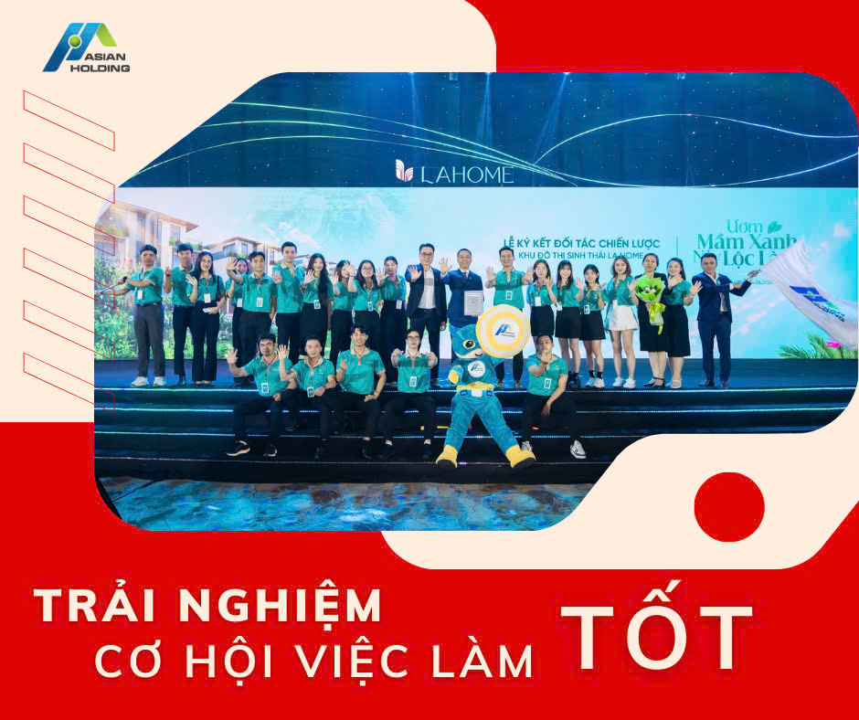 lĩnh vực hoạt động