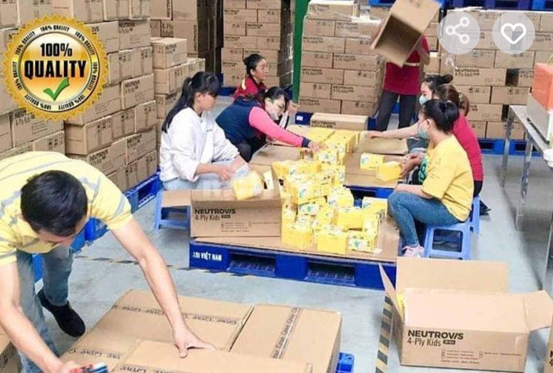 lĩnh vực hoạt động
