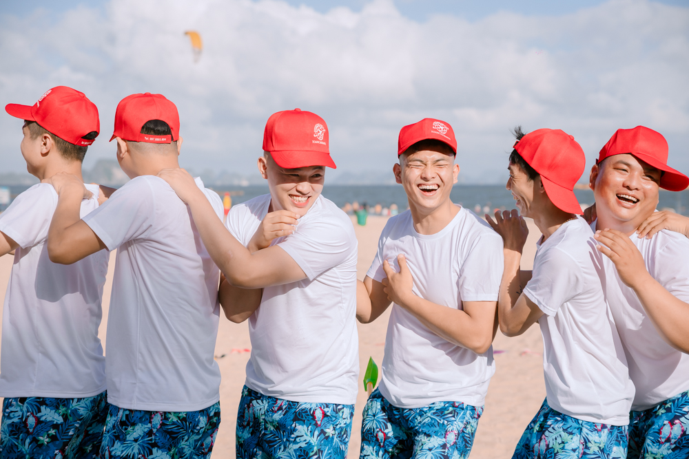 lĩnh vực hoạt động