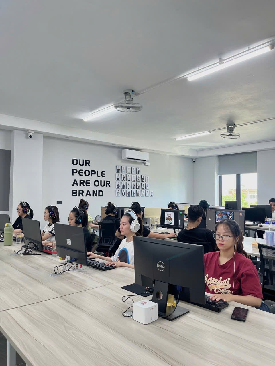 lĩnh vực hoạt động
