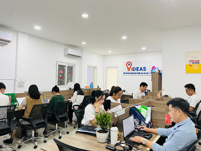 lĩnh vực hoạt động