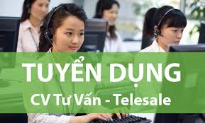 lĩnh vực hoạt động