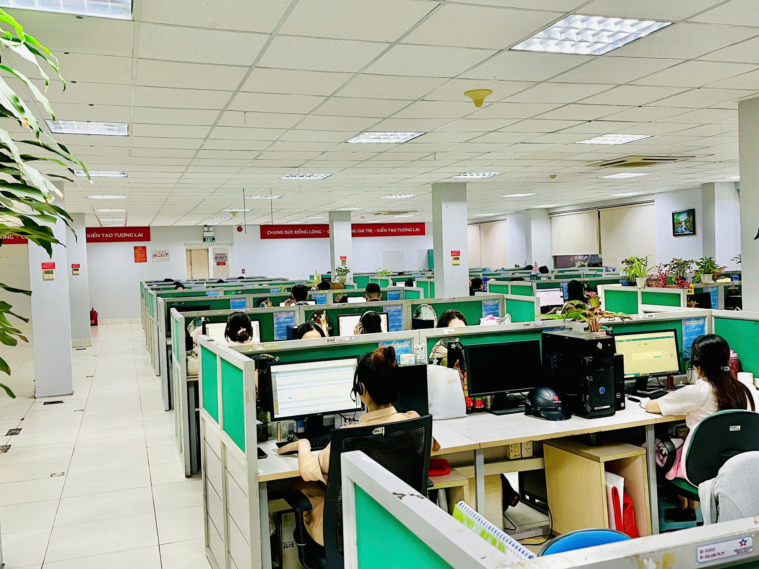 lĩnh vực hoạt động