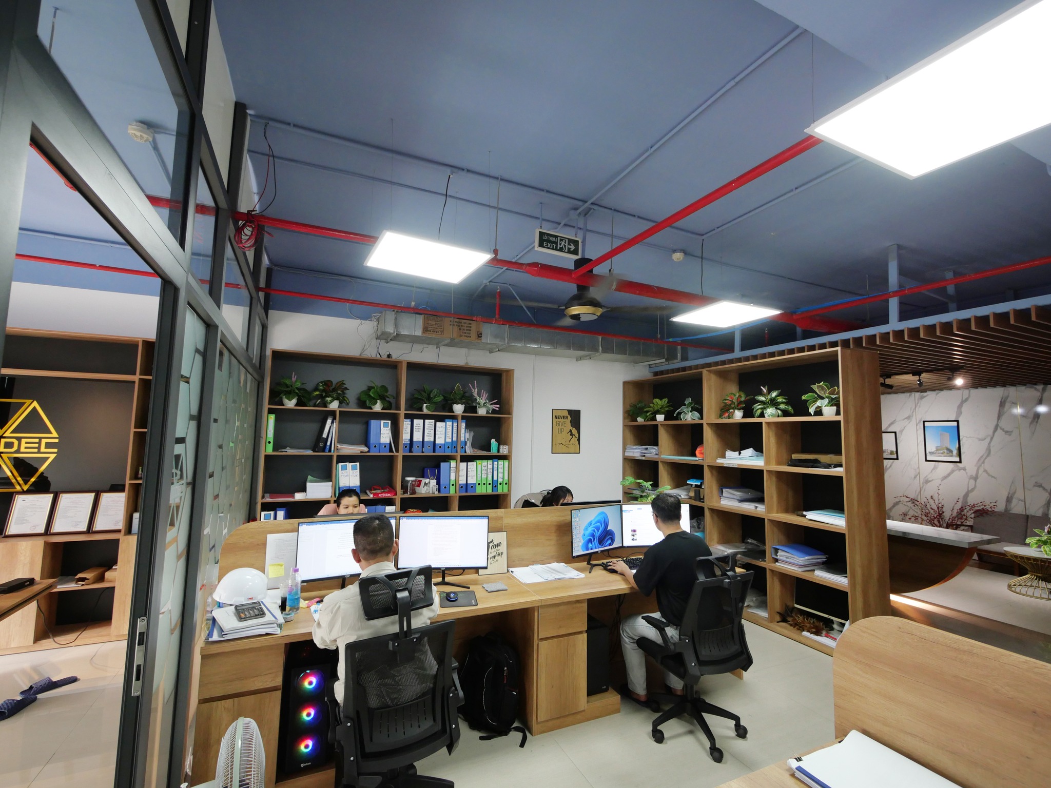 lĩnh vực hoạt động