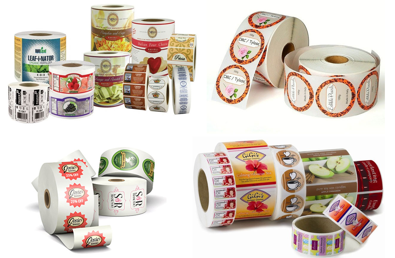 lĩnh vực hoạt động