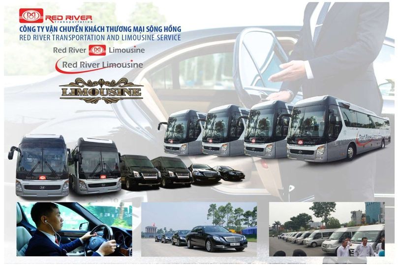 lĩnh vực hoạt động