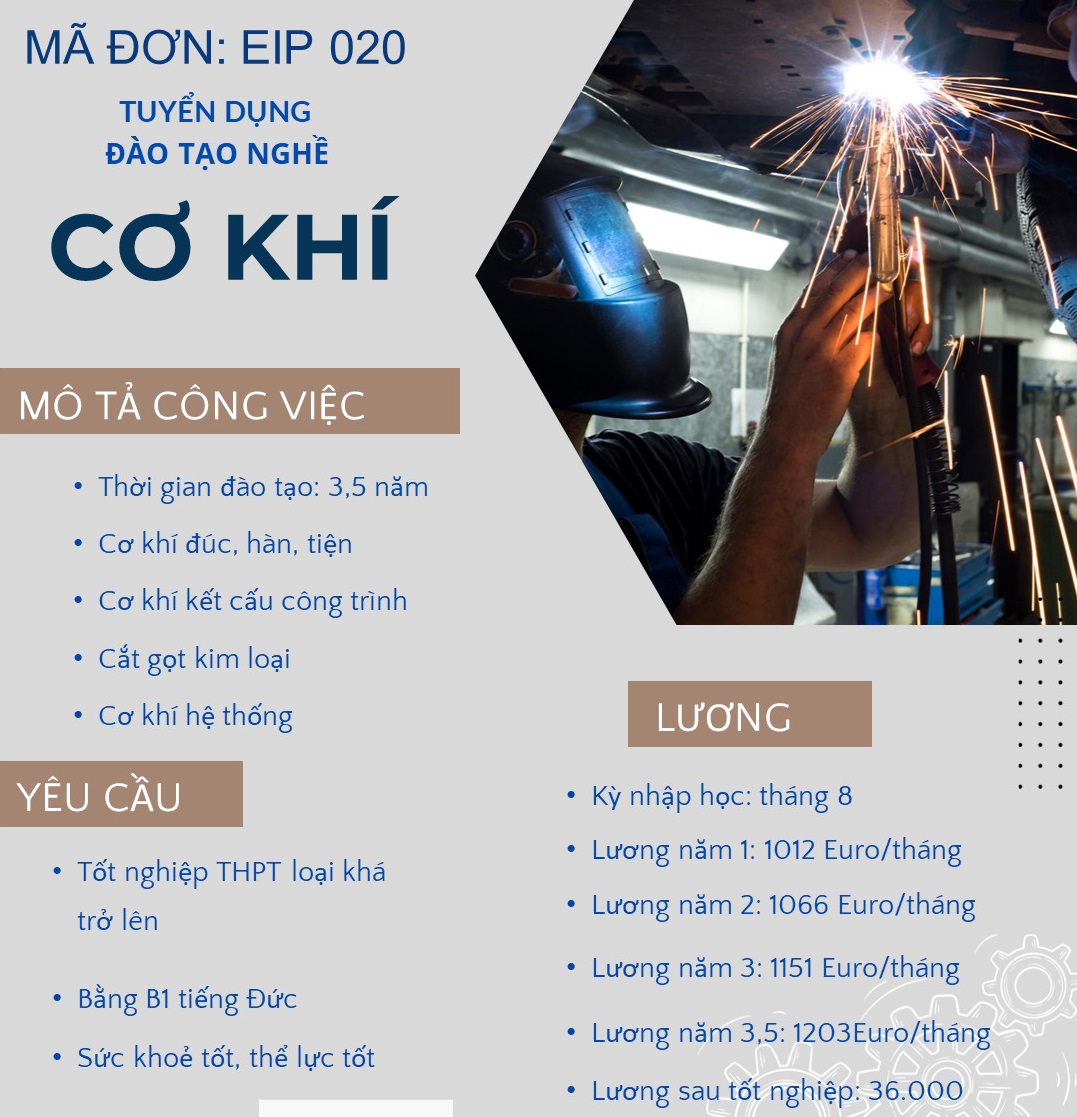 lĩnh vực hoạt động