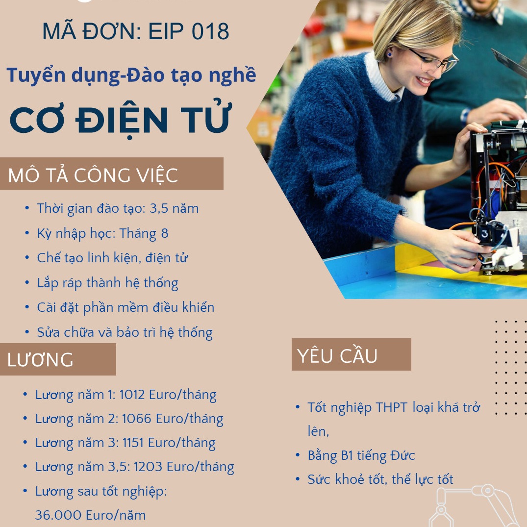 lĩnh vực hoạt động
