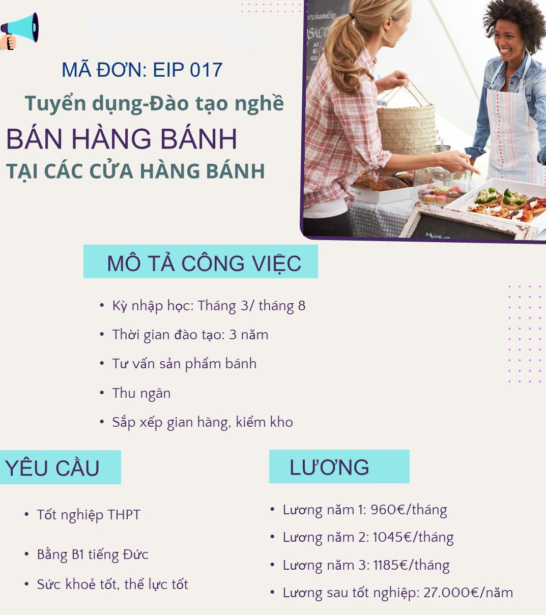 lĩnh vực hoạt động