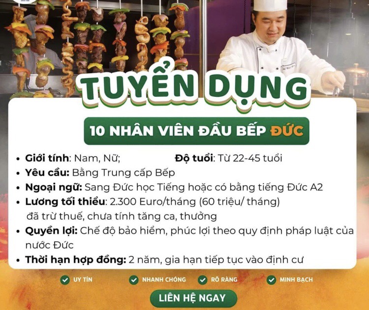 lĩnh vực hoạt động