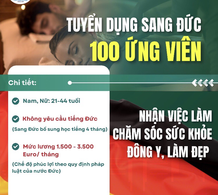 lĩnh vực hoạt động