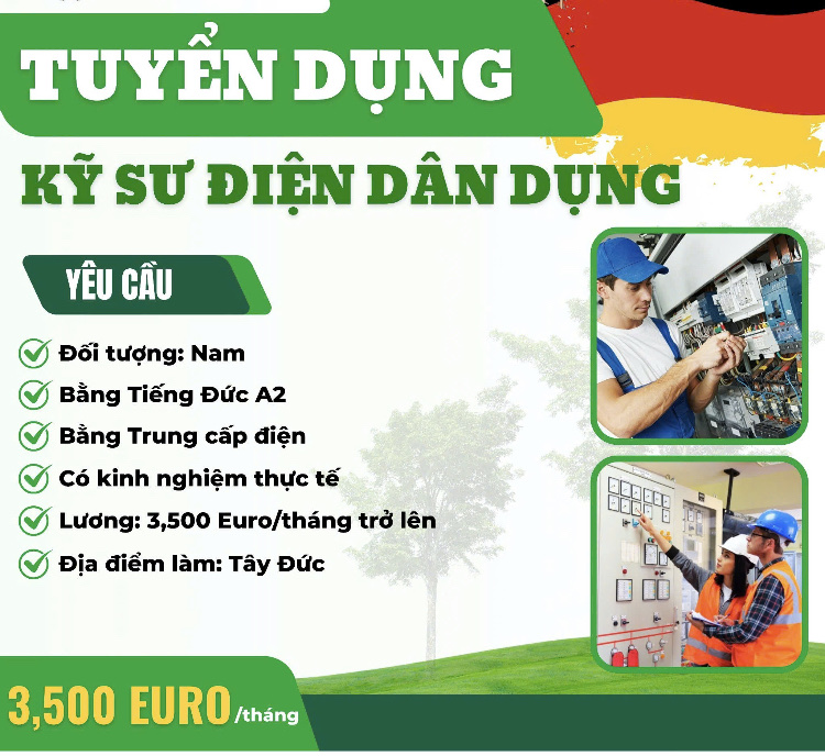 lĩnh vực hoạt động