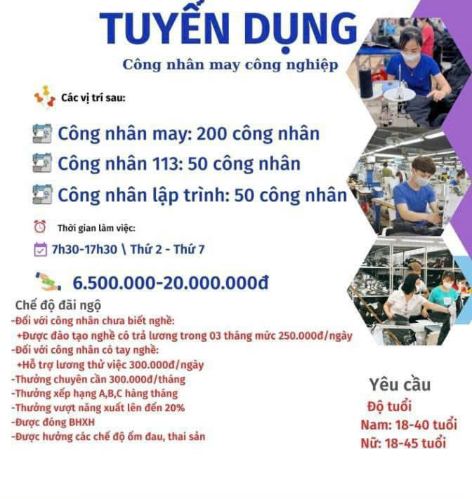 lĩnh vực hoạt động