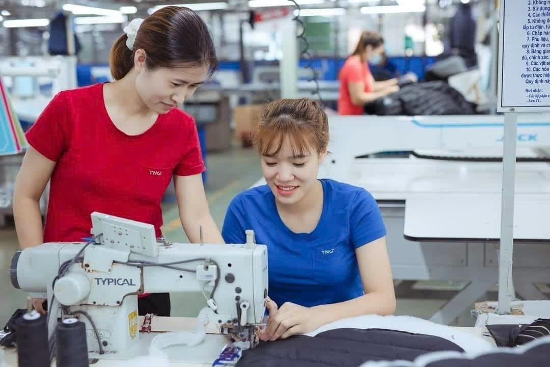 lĩnh vực hoạt động