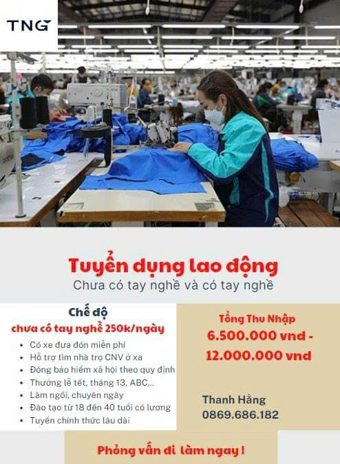 lĩnh vực hoạt động