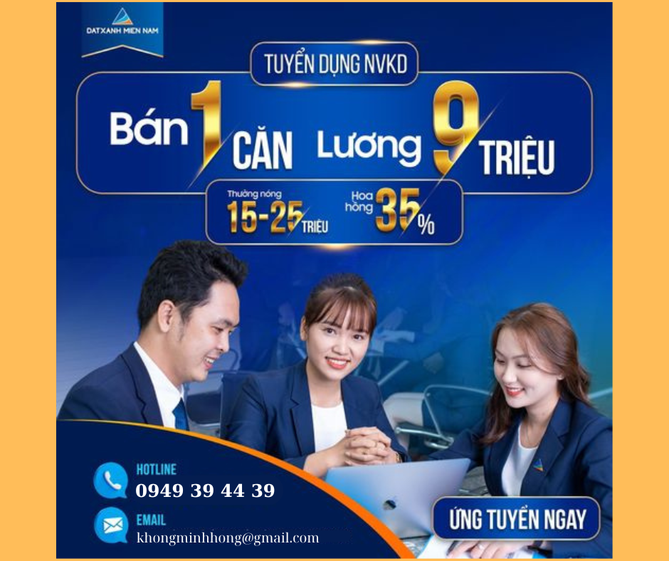 lĩnh vực hoạt động