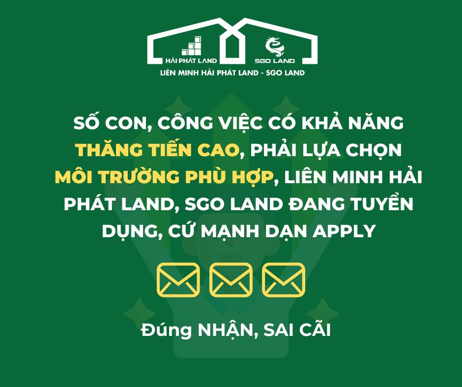 lĩnh vực hoạt động