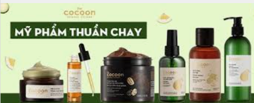 lĩnh vực hoạt động